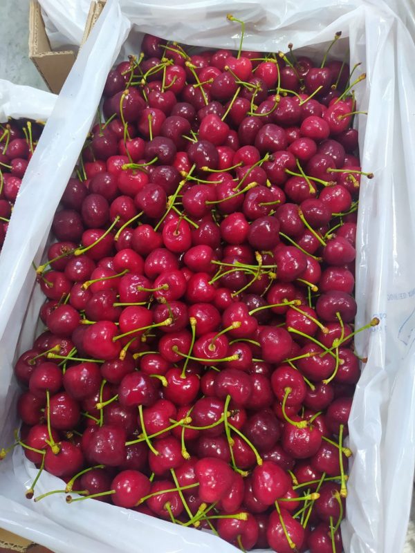 CHERRY TURKEY 5KG LOOSE